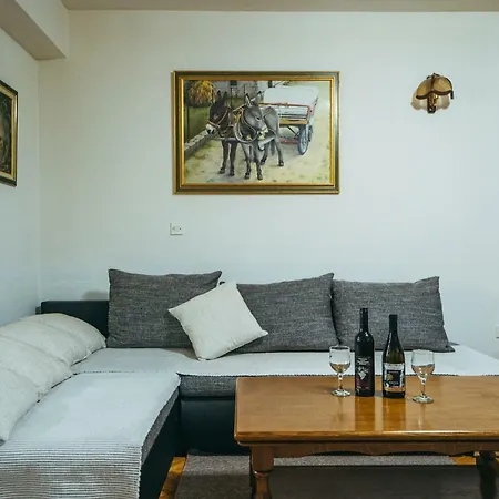 Vila Dikano ,runovici *