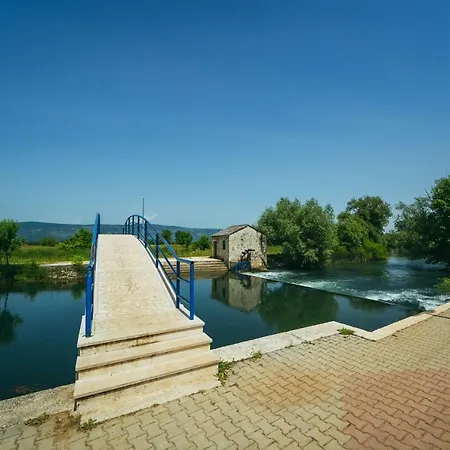 Dikano ,runovici Vila *