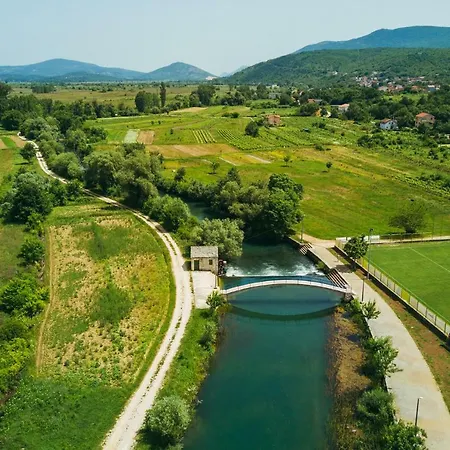 Vila Dikano ,runovici *