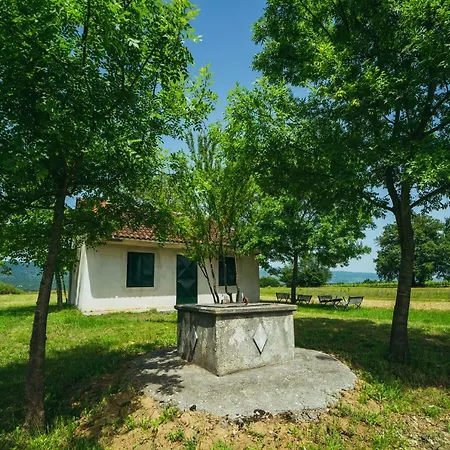 Dikano ,runovici Vila Runovic