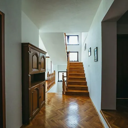 Vila Dikano ,runovici *