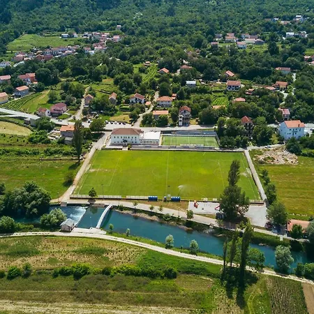 Dikano ,runovici Runovic