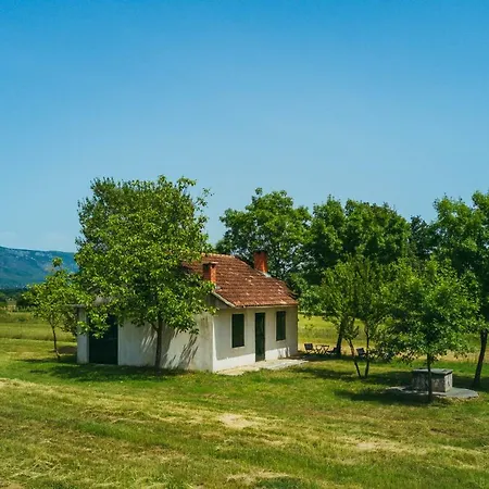 Vila Dikano ,runovici *